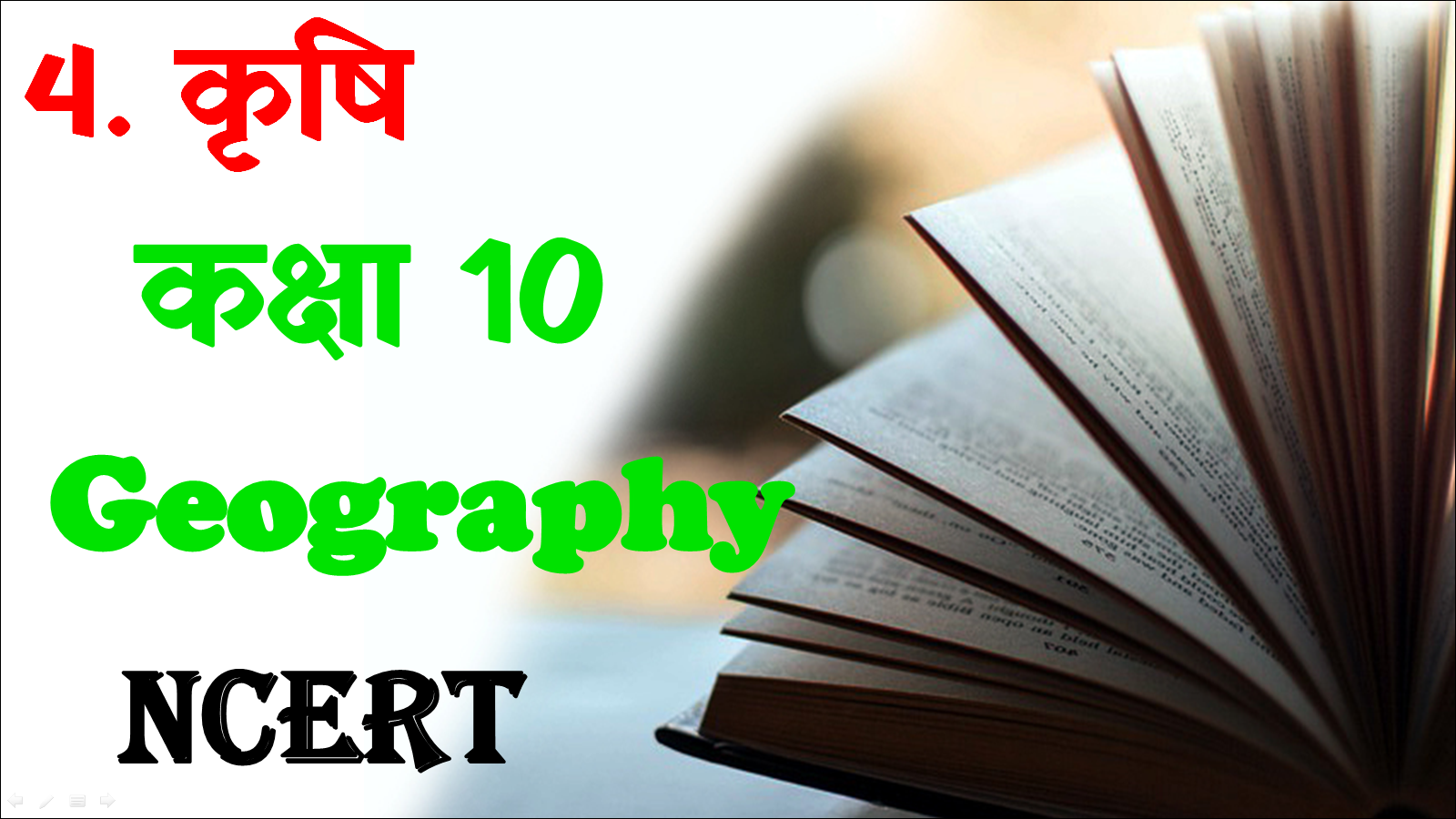 Class 10 Geography Chapter 4 MCQ