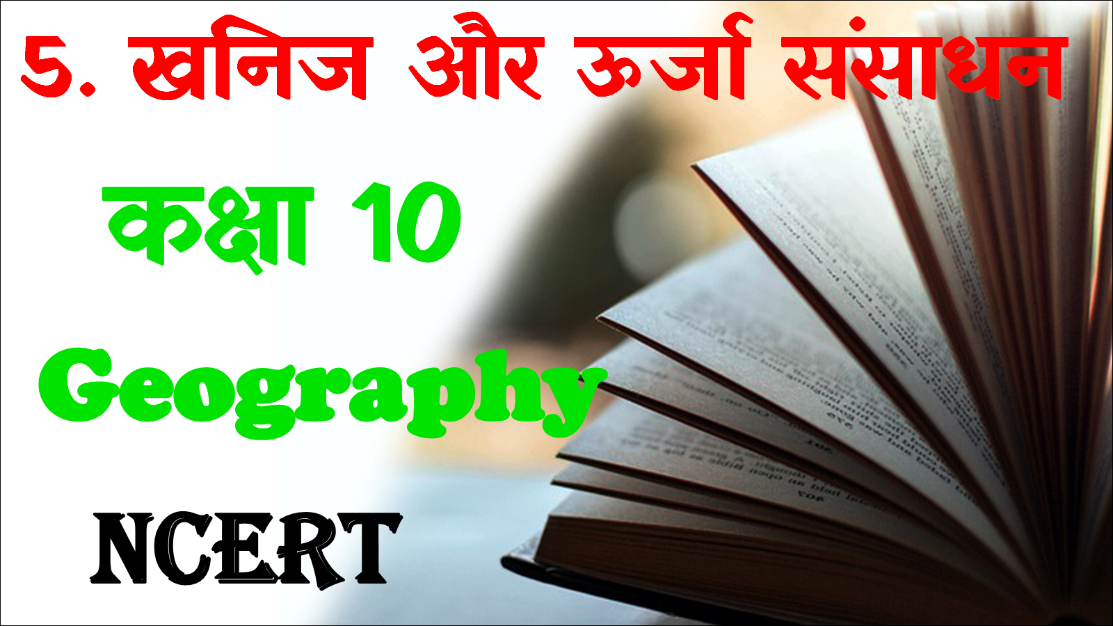 Class 10 Geography Chapter 5 MCQ