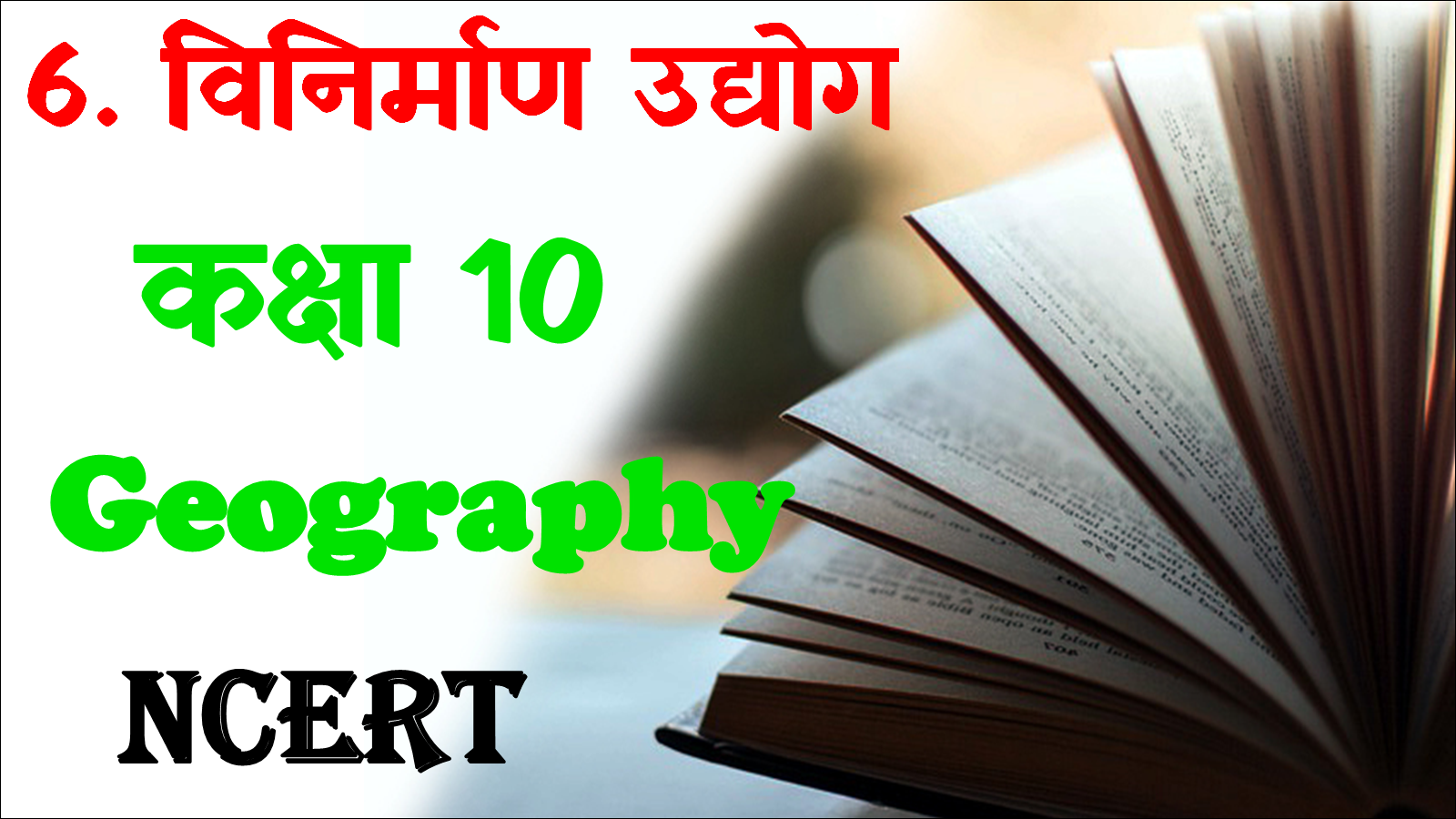 Class 10 Geography Chapter 6 MCQ